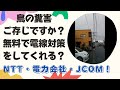 鳥の糞害！ご存じですか？無料で電線対策をしてくれる？【NTT･電力会社･JCOM（ネット会社）】 0:52 ちんち