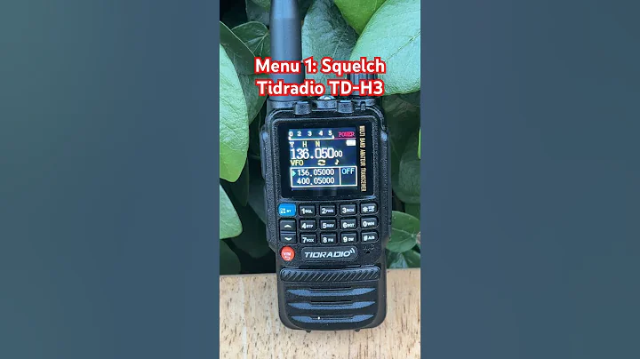 Stop Annoying Static On Your Radio Instantly! Tidradio TD-H3 Menu 1: Squelch