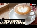 Curiosities about the Coffee