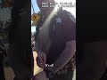 Walmart Detainment: Stranger Denies Association During Police Stop #shorts