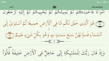 Сура Аль-Бакара #2 аяты 1-171