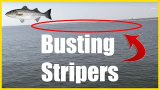Fishing for Stripers | Lake Texoma | Part 2