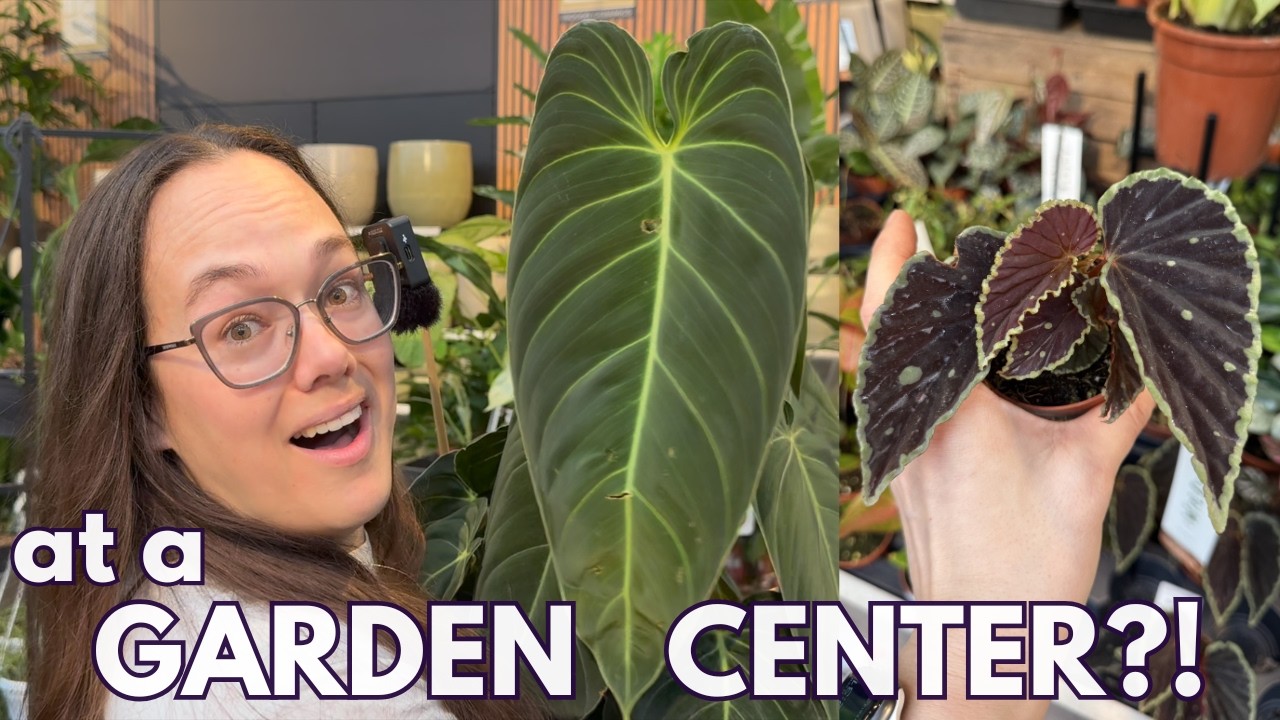 Impressive Plant Shop Tour with many rare finds | Plant with Roos