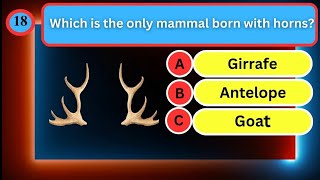 How Many Can You Get Right? 21 interesting Quizzes! || QUIZ || General knowledge