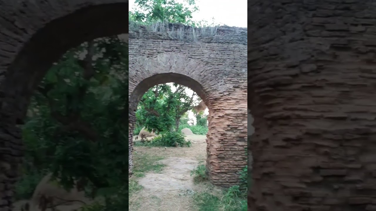 লকমা জমিদার বাড়ির ভয়ংকর গায়েবী আওয়াজ... #পাঁচবিবি #লকমা_জমিদার_বাড়ি #Joypurhat #Zaminder