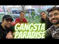TENEKE KAFALAR GANGSTA PARADİSE