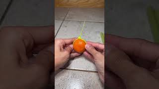 This is genius for a perfect cut!? #hacks #secrethacks #lifeadvice #viral #shortvideo #secrethacks