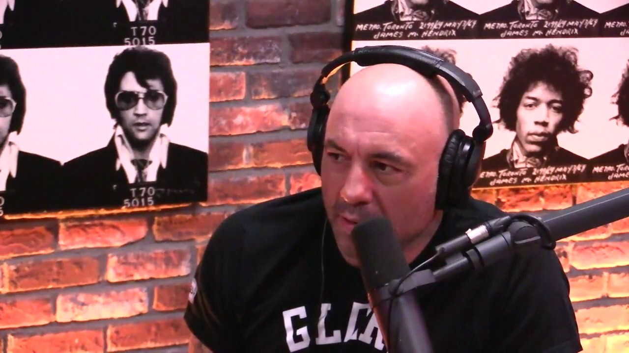 Joe Rogan on Bill Maher, Radio Censorship, and PornHub