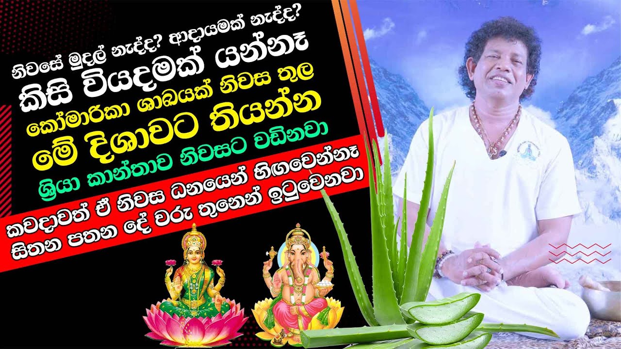 කෝමාරිකා ශාඛයක් නිවස තුල තියන්න - කවදාවත් ඒ නිවස ධනයෙන් හිඟවෙන්නෑ  සිතන පතන දේ වරු තුනෙන් ඉටුවෙනවා