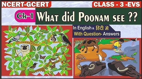 What Did Poonam See? II Class 3 EVS Chapter 1 II Poonam