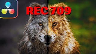 Make Your REC 709 Footage POP: Beginner's Guide to DaVinci Resolve Color Grading screenshot 5