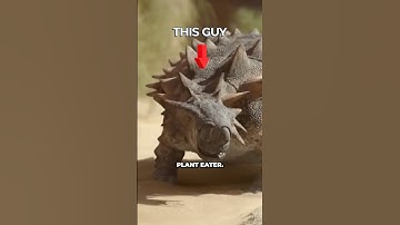 Scientists Just Discovered We Were Wrong About Dinosaurs