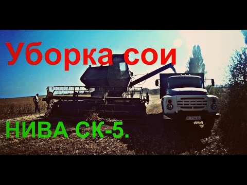 Нива уборка видео