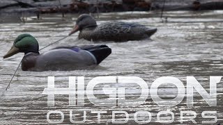 Duck Chatter Ep.110 'Public Flooded Timber'