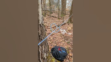 Installing New Maple Drop Lines - Maple Hollow