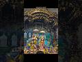 Vrindavan chale?#vrindavan #krishan#krishanji#trendingshorts #travel#bhakti #trendy#aestheticshorts
