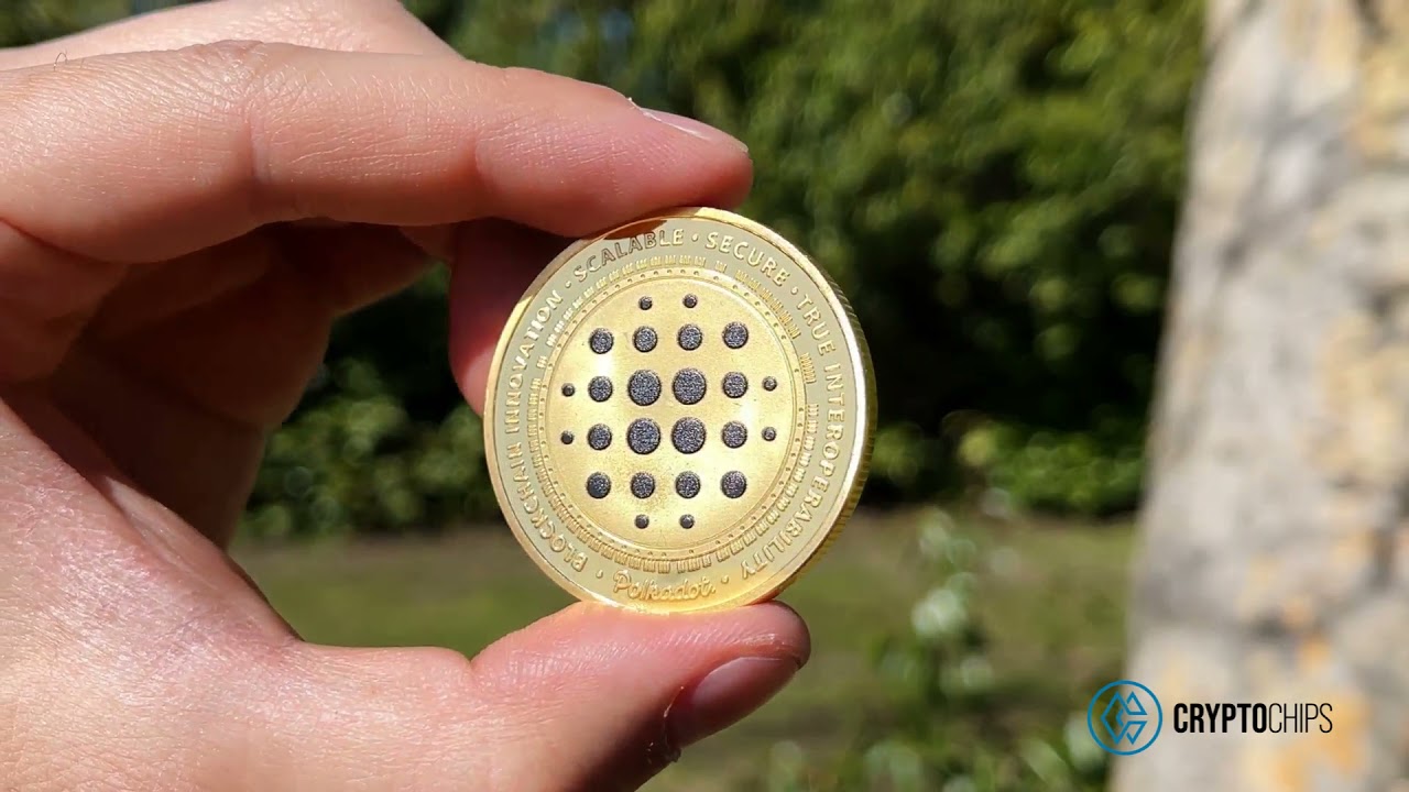 Cryptochips | Polkadot (DOT) Physical Crypto Coin