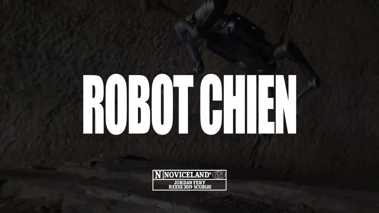 TH Type Beat "ROBOT CHIEN" - Noviceland