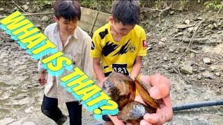 Bắt cá - bắt ghẹ ao / Catching fish - catching pond crabs