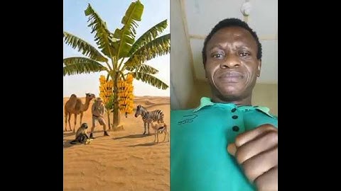 Monkey saved the banana tree from drying up by watering it 😭