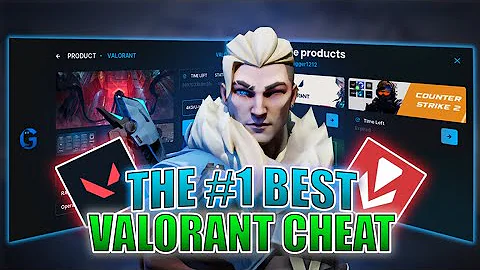 I Used a Valorant Cheat To Go PRO... (The Results Were Wild)