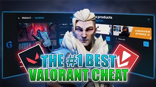 I Used A Valorant Cheat To Go Pro... The Results Were Wild
