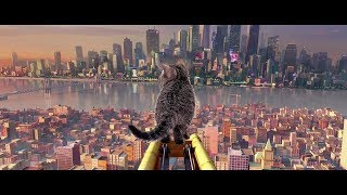 Post Malone, Swae Lee - Sunflower (Spider-Man: Into the Spider-Verse) (Cat version)