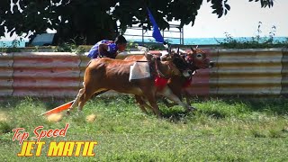 Full speed test of Team JET MATIC's cows which will compete at GRT's anniversary