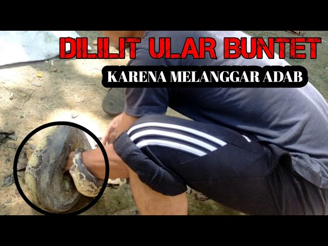 Xotinimni uyda eshakka sikaman Samui jinsiy oyin-kulgi