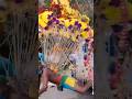 Kavadi Attam Kavadi Sindu Paravai Kavadi 