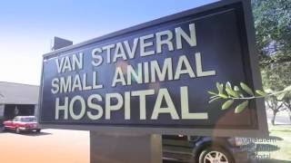 Van Stavern Small Animal Hospital in College Station, TX
