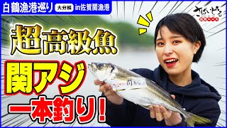 早吸の瀬戸で超高級魚「関あじ」を手釣り！GETしたアジの漁師飯が絶品すぎた！【白鶴漁港巡り 大分編 in佐賀関漁港】