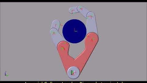 Martineau Video learning Grasp