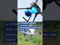 AI-powered rangers join China's environmental protection front lines #coolchina