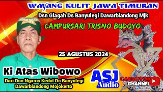 Wayang Kulit Jawa Timuran Ki Dalang Atas Wibowo dsn. Glagah Ds. Banyulegi Dawarblandong Mojokerto.