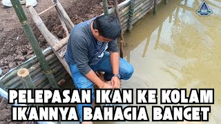 FINISH PEMBUATAN KOLAM IKAN⁉️WIRYA TIRTA PRODUCTION