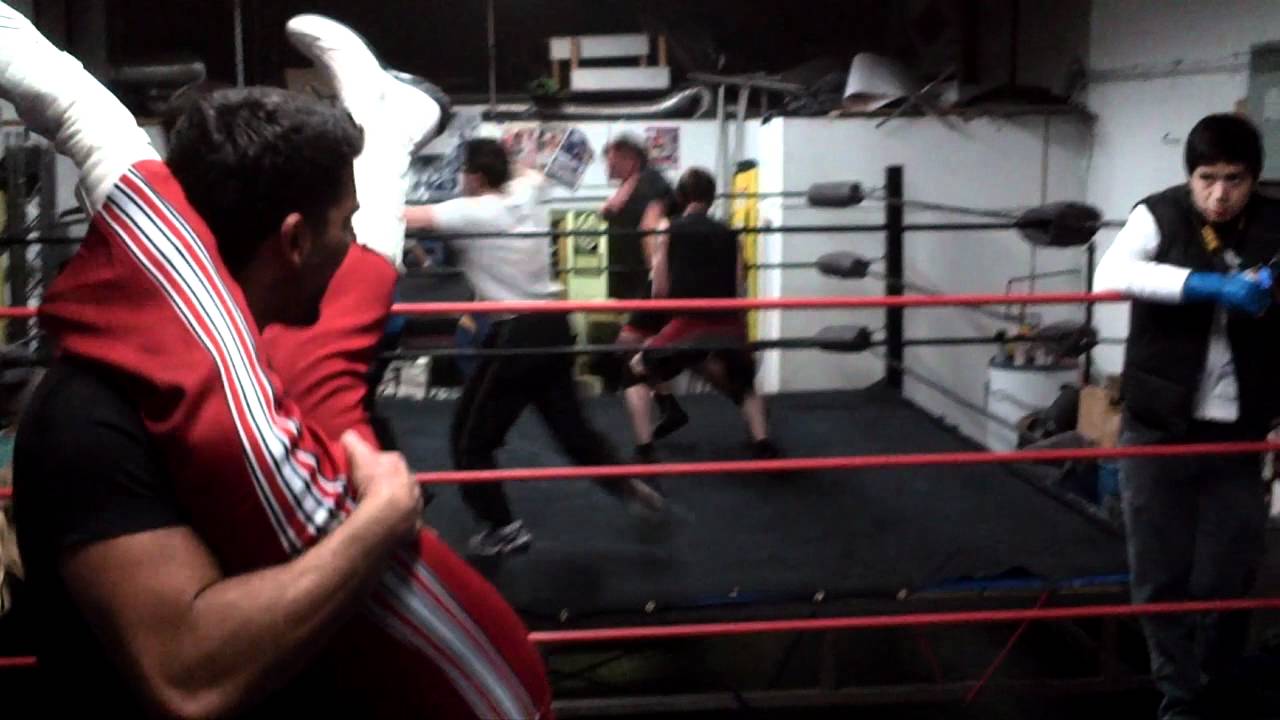 silvie silver training