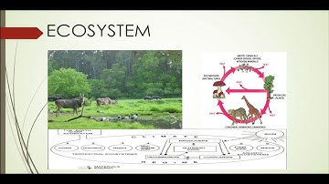 UGC NET Paper 1 - Eco System - Terrestrial Ecosystem part 1 ecology