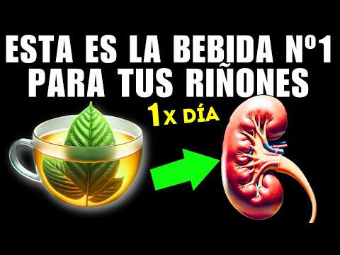 BEBIDA #1 que MEJORA tus RIÑONES (CÓMO TOMARLA)