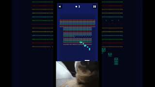 huh? chipi chipi chapa chapa | brick breaker game cat |#shorts #shortsfeed #gaming #cat #cute #viral