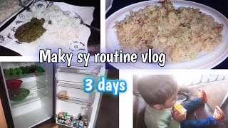 Finally makay sy routine vlog upload Kya h | update about my brothers and papa business