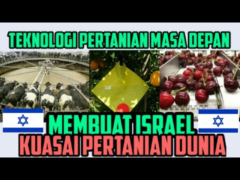 Jelajah Tani 13: Teknologi Pertanian Masa Depan dari Israel | Cara Israel Menguasai Pasar Pertanian