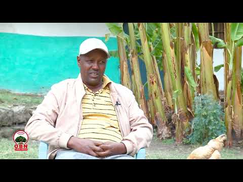 Guyyaa Koo Hojjatan Argatan