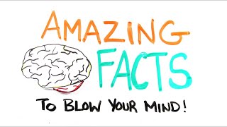 Crazy Facts That You Had No Idea About.