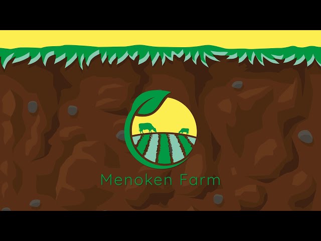 Crops Covers & Cows Field Tour Four