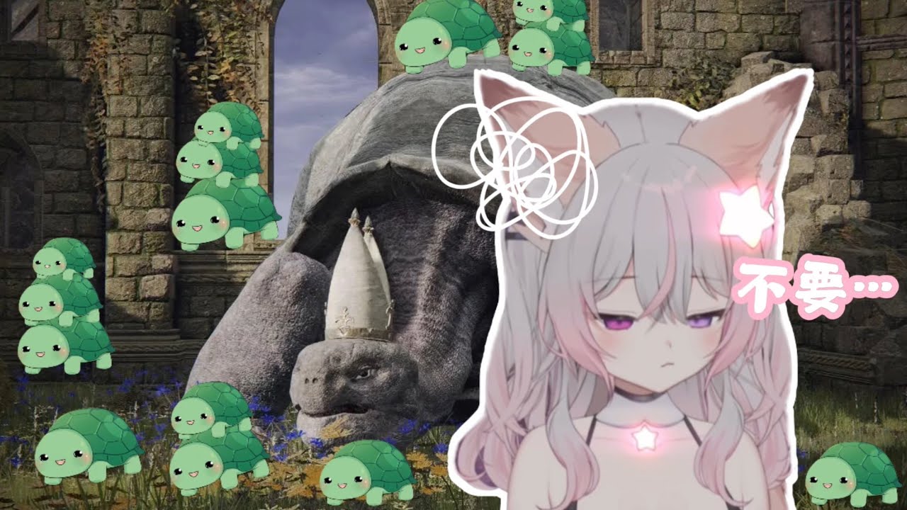 【Anny】Anny的世界裡充滿了烏龜⋯⋯ 【中譯精華】