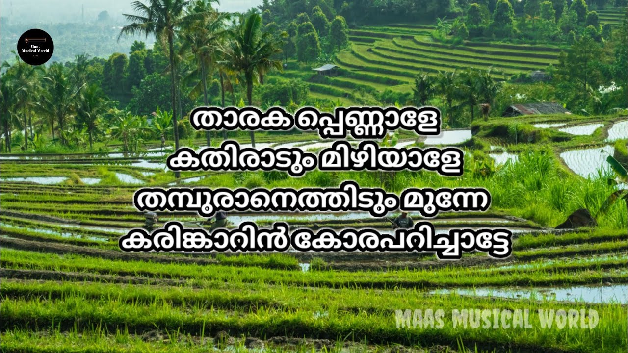 Tharakapennale nadanpaattu karoke with lyrics