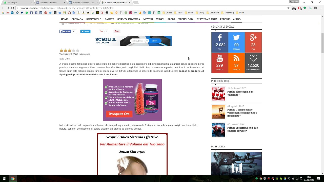 Update Come aggirare i blocchi anti copia nei siti web in Google Chrome