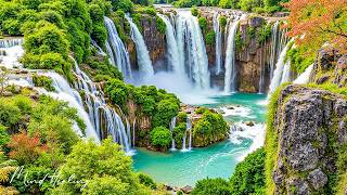 Download Lagu Muziektherapie 🌿Zachte muziek, kalmeert het zenuwstelsel en behaagt de ziel MP3 Download Lagu Muziektherapie 🌿Zachte muziek, kalmeert het zenuwstelsel en behaagt de ziel MP3