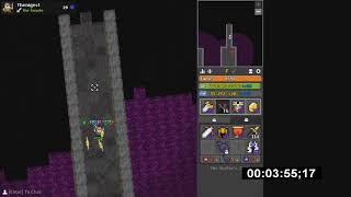 RotMG: Shatters Solo Petless WR 9:32